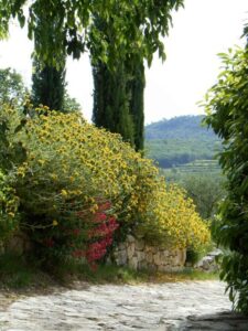 Clos verdure